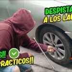 Seguro para Robo de Calaveras de Autos